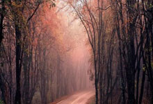 燕郊配资最便宜的公司:a股杠杆交易平台-大厂“角逐”芯片！继字节后 昕原半导体获蚂蚁集团入股